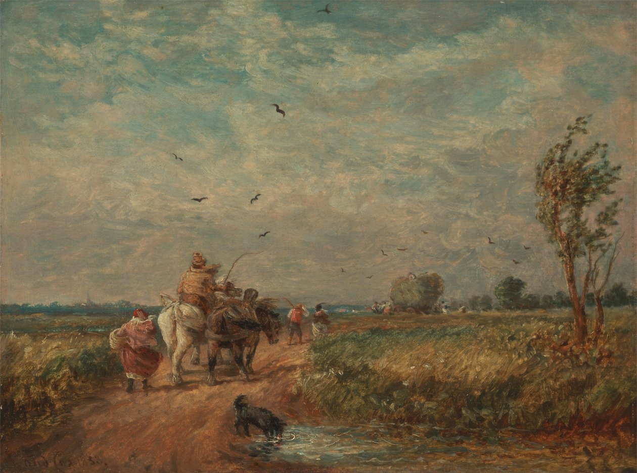 Hayfield'a gitmek by David Cox