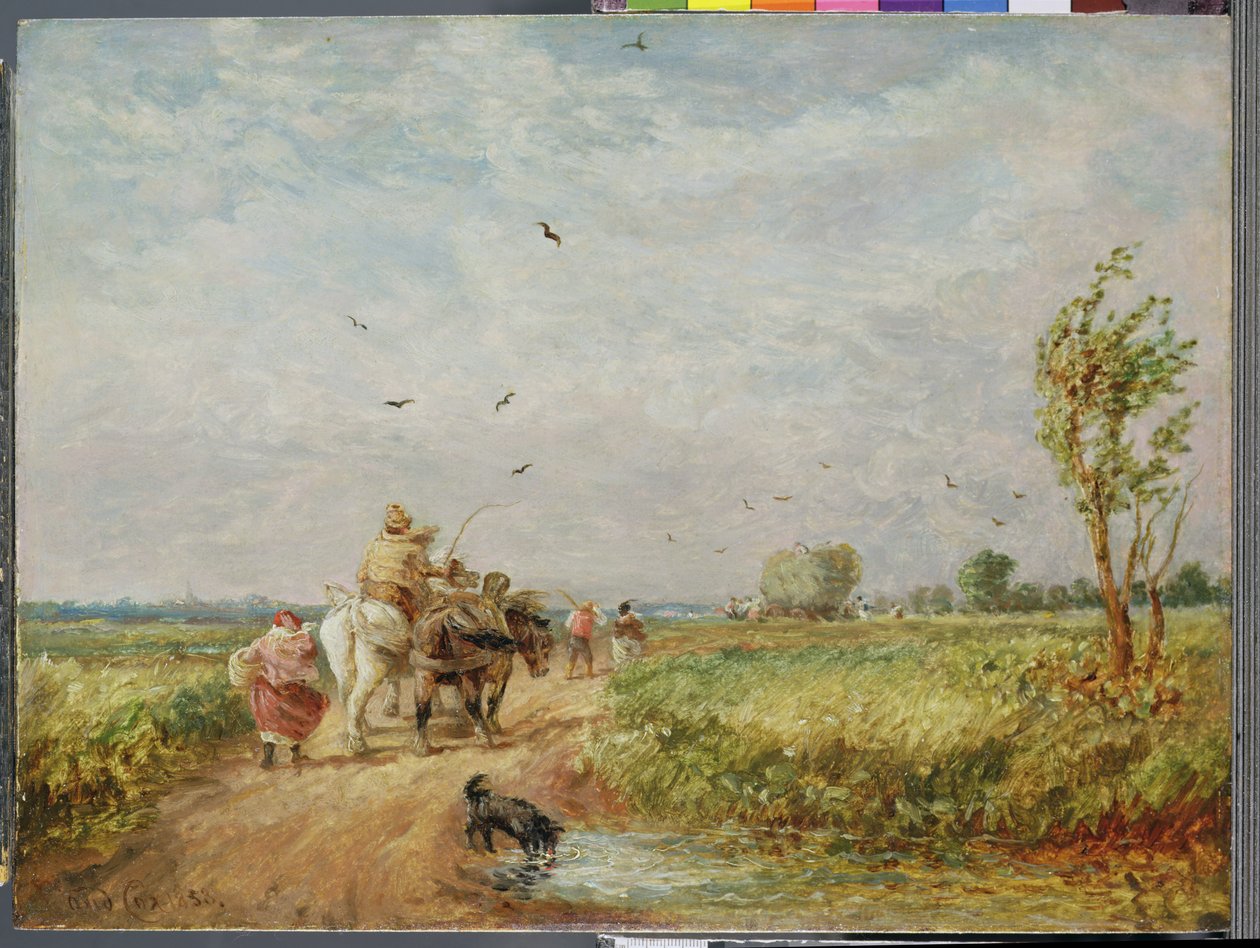 Hayfield