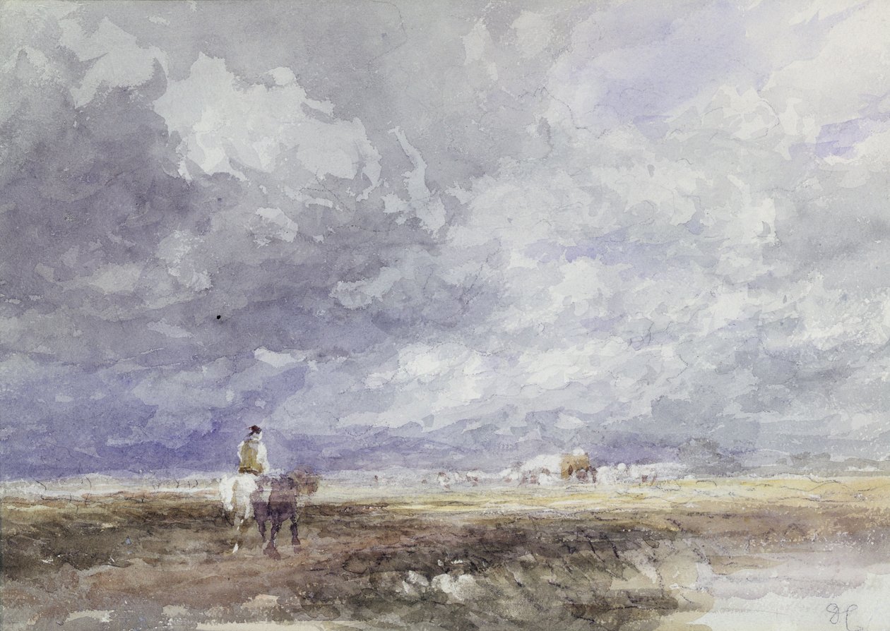 Hayfield