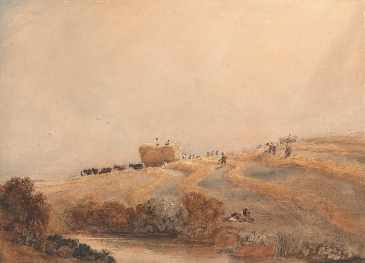Saman yapma by David Cox