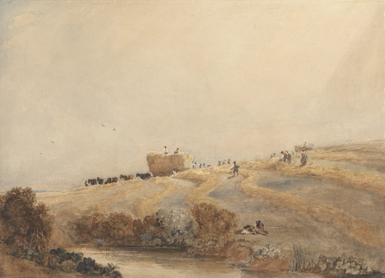 Samancılık, c.1808 (kağıt üzerinde grafit üzerine gövde rengi ile w/c) by David Cox
