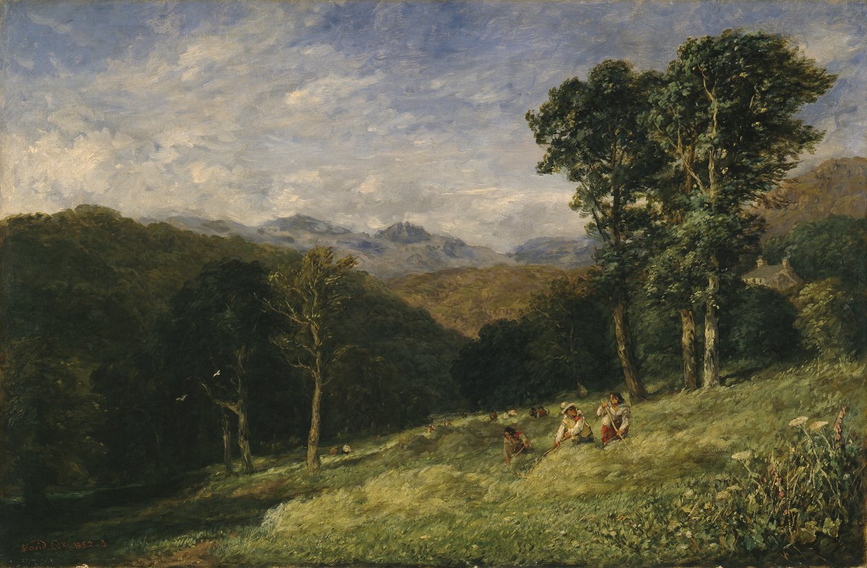 Conway yakınlarında saman yapımı by David Cox