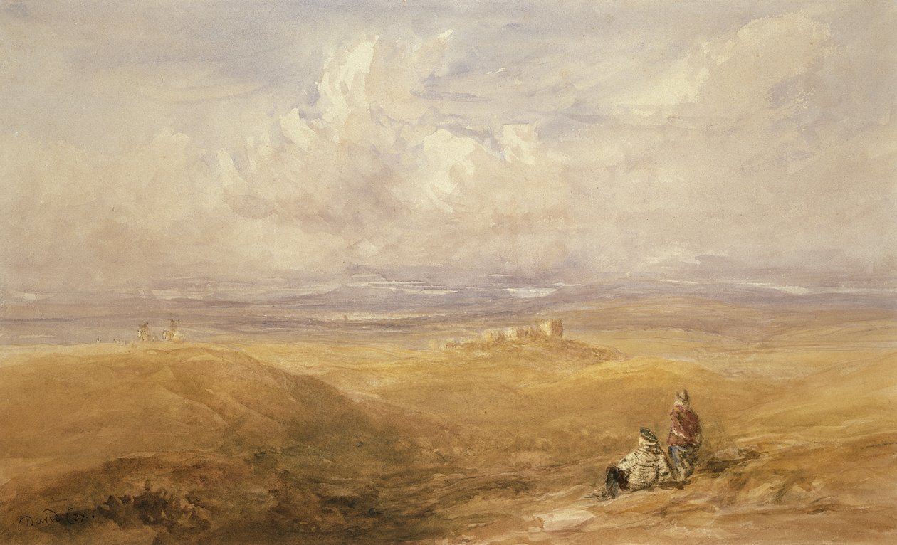Lancaster Kalesi (kağıt üzerinde wc) by David Cox