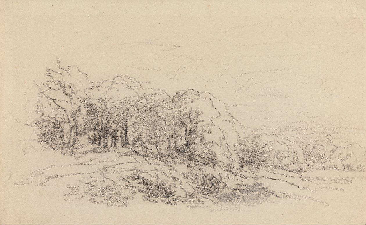 Ağaçlarla Manzara by David Cox