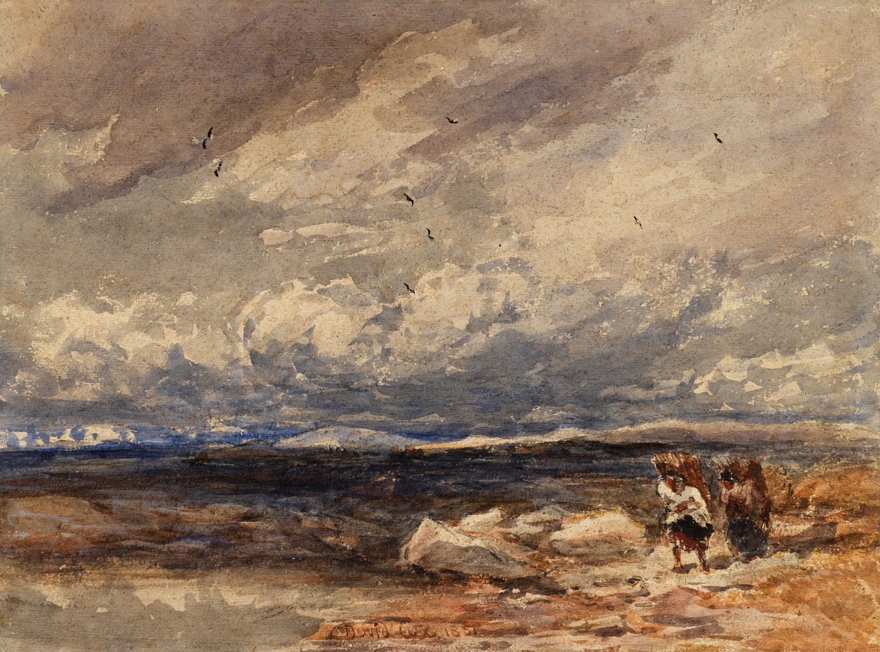  by David Cox
