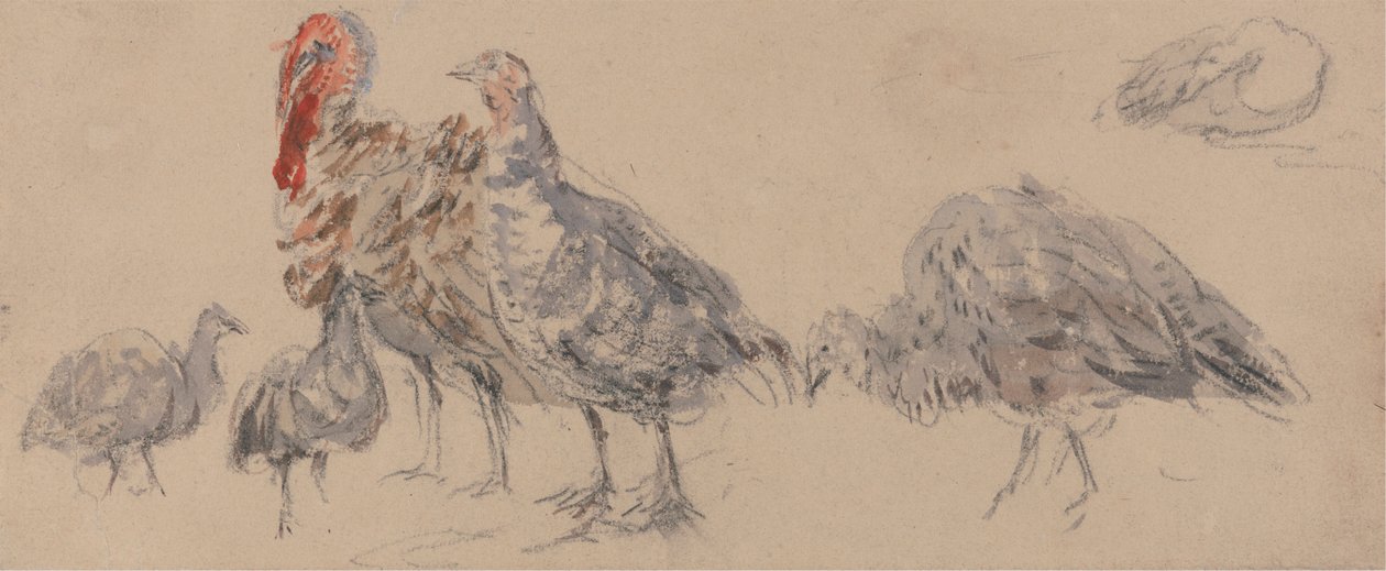 Türkiye Çalışması by David Cox