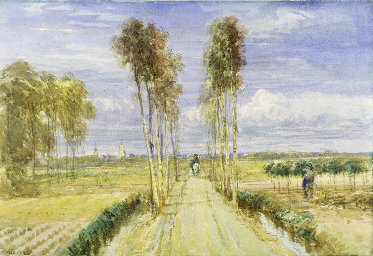 The Poplar Avenue (kalem üzerine sulu boya ve kağıt üzerine siyah tebeşir) by David Cox
