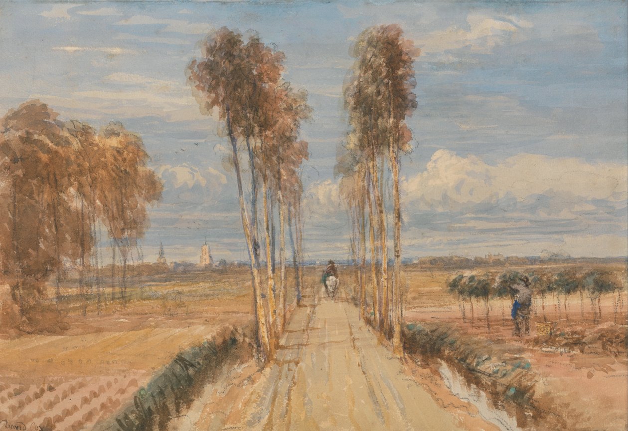  by David Cox