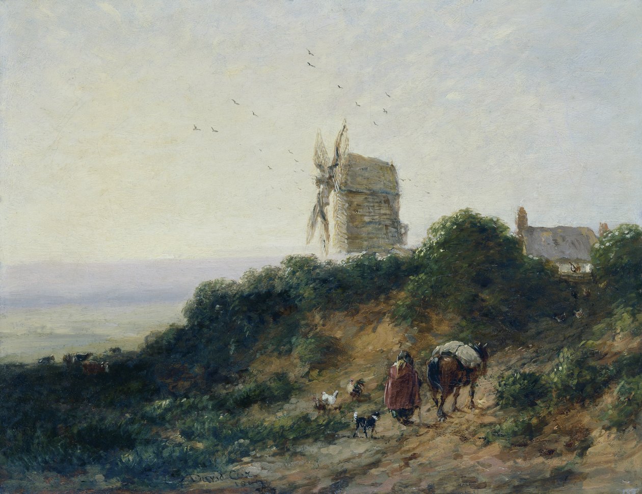  by David Cox