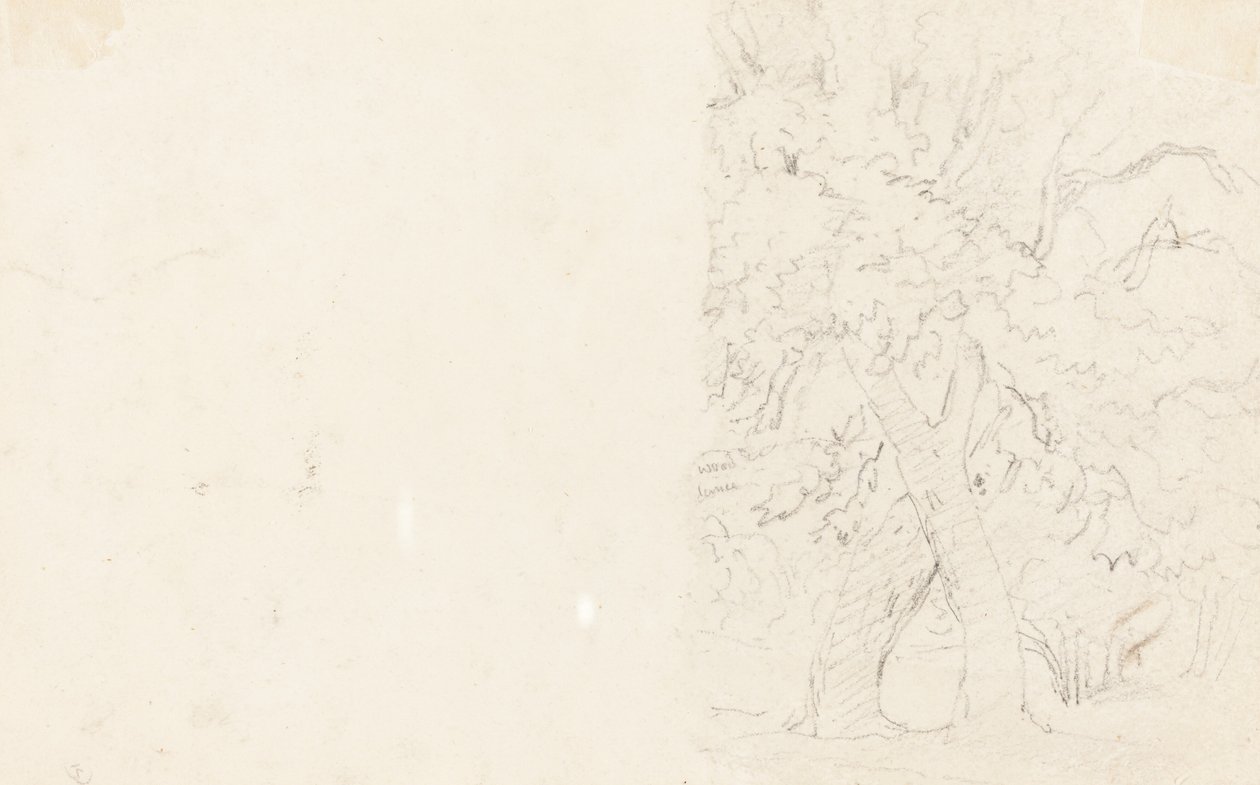 Ağaçlar by David Cox