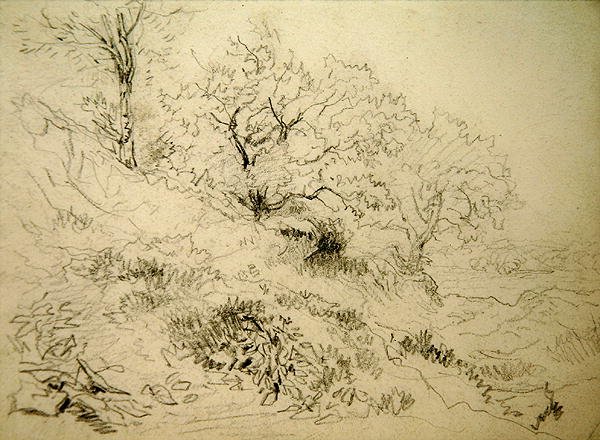 Galler Manzarası (kağıt üzerinde tebeşir) by David Cox