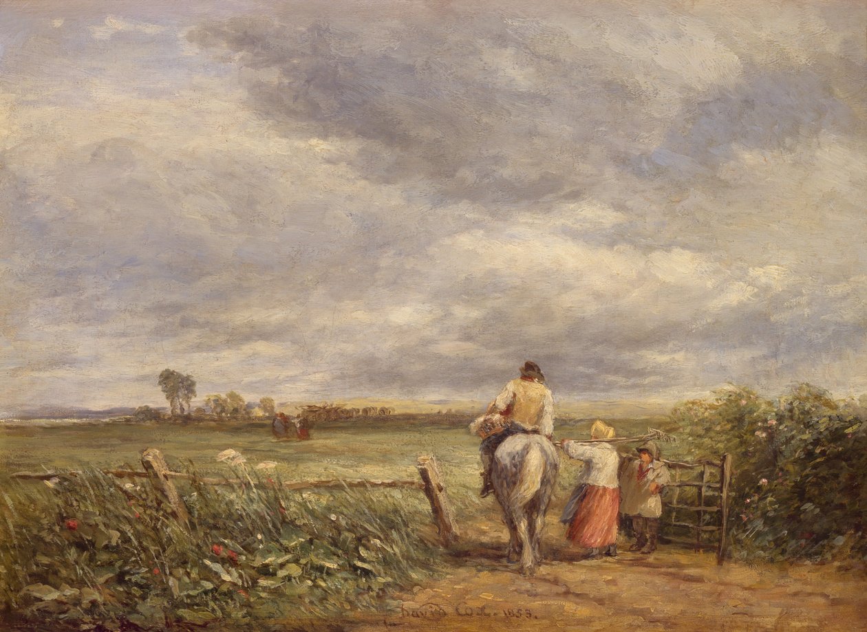 Hayfield