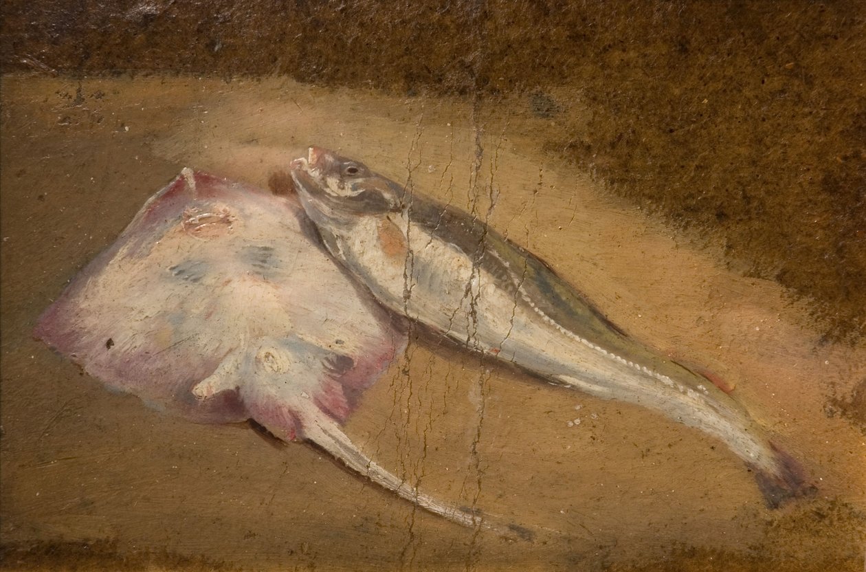 Balık Çalışması - Paten ve Morina, 1842. by David Cox the elder