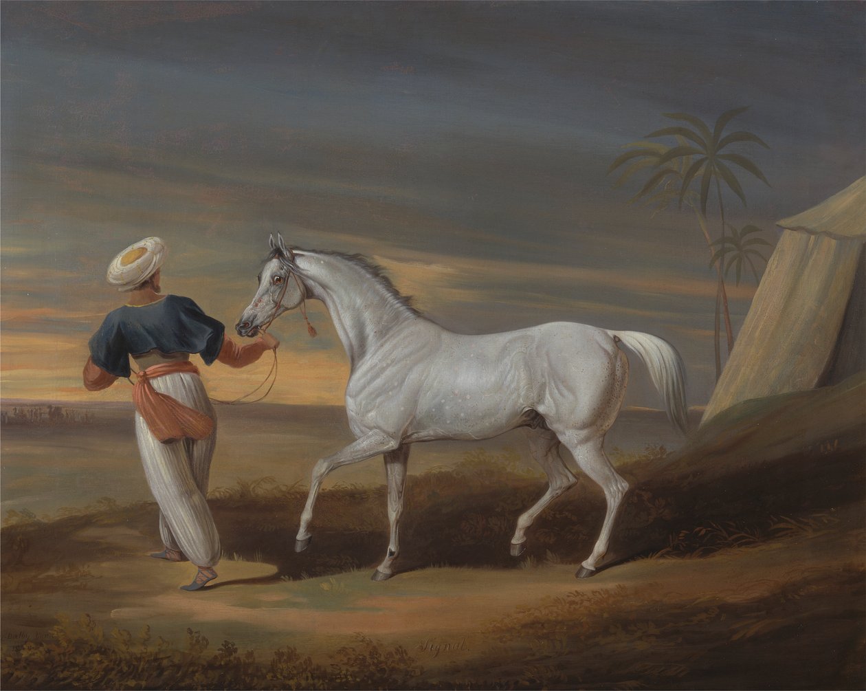 Bir Gri Arap olan Signal, Çölde Bir Damatla by David Dalby of York