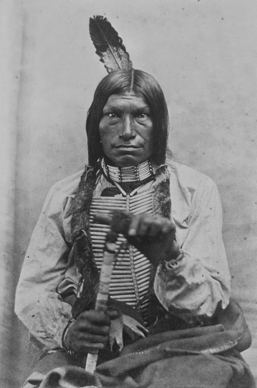 Low Dog War Chief (s/b fotoğraf) by David Frances Barry