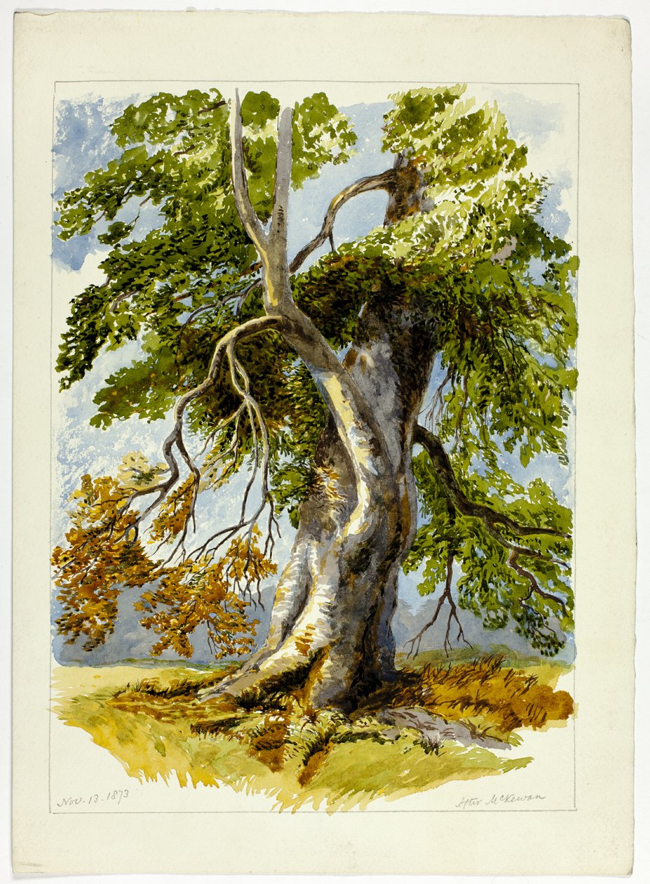  by David Hall McKewan