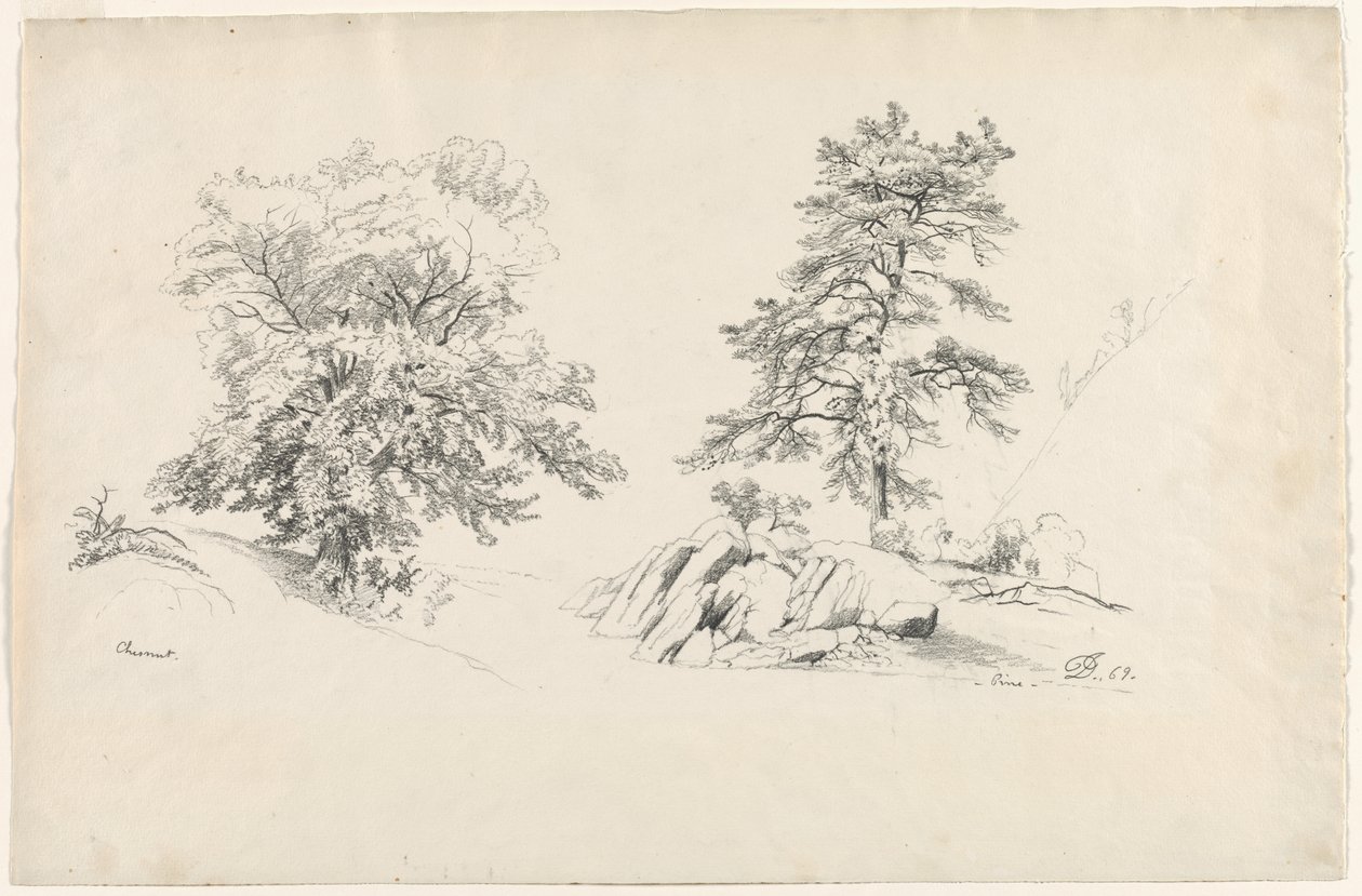Kestane ve Çam, 1869. by David Johnson