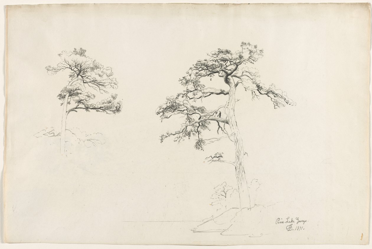 Çam, George Gölü, 1871. by David Johnson