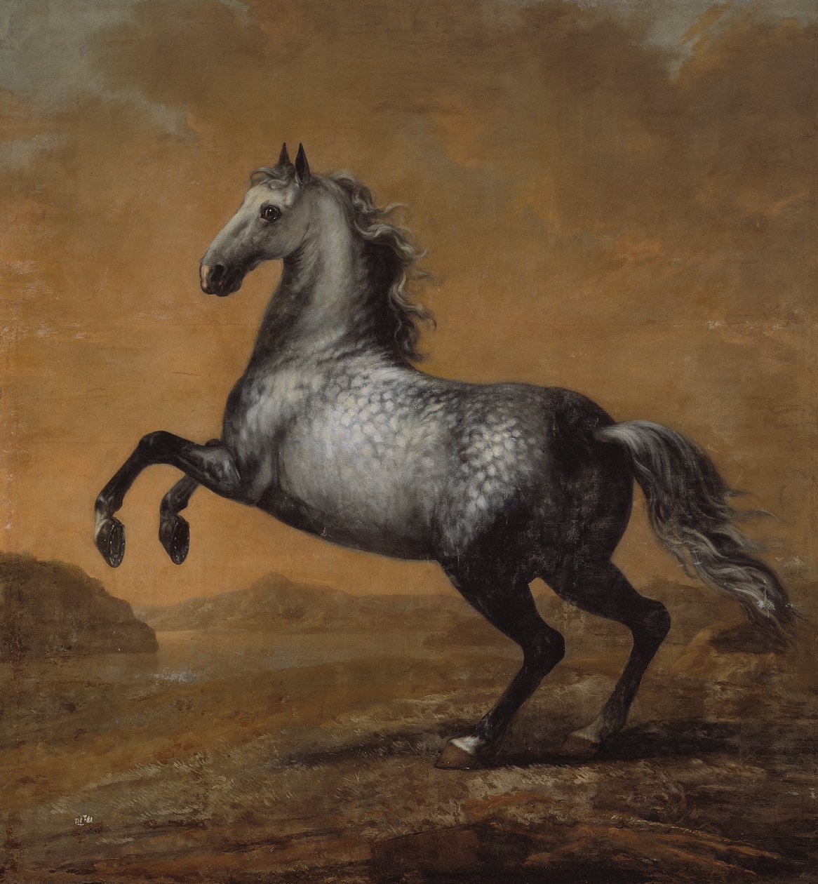 Küçük İngiliz, Kral Karl XI (1655-97)'in Atı by David Klöcker Ehrenstrahl