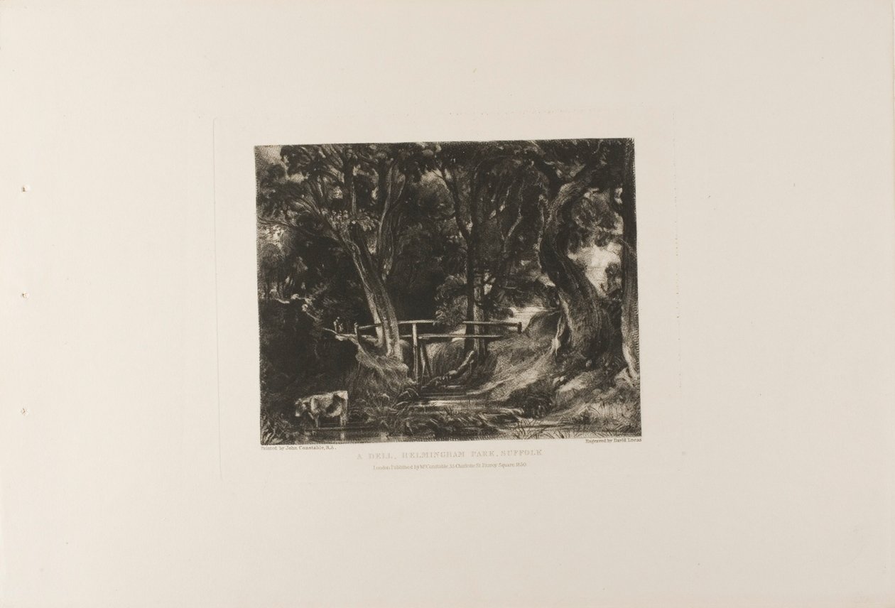 Bir Dell, Helmingham Parkı, Suffolk by David Lucas