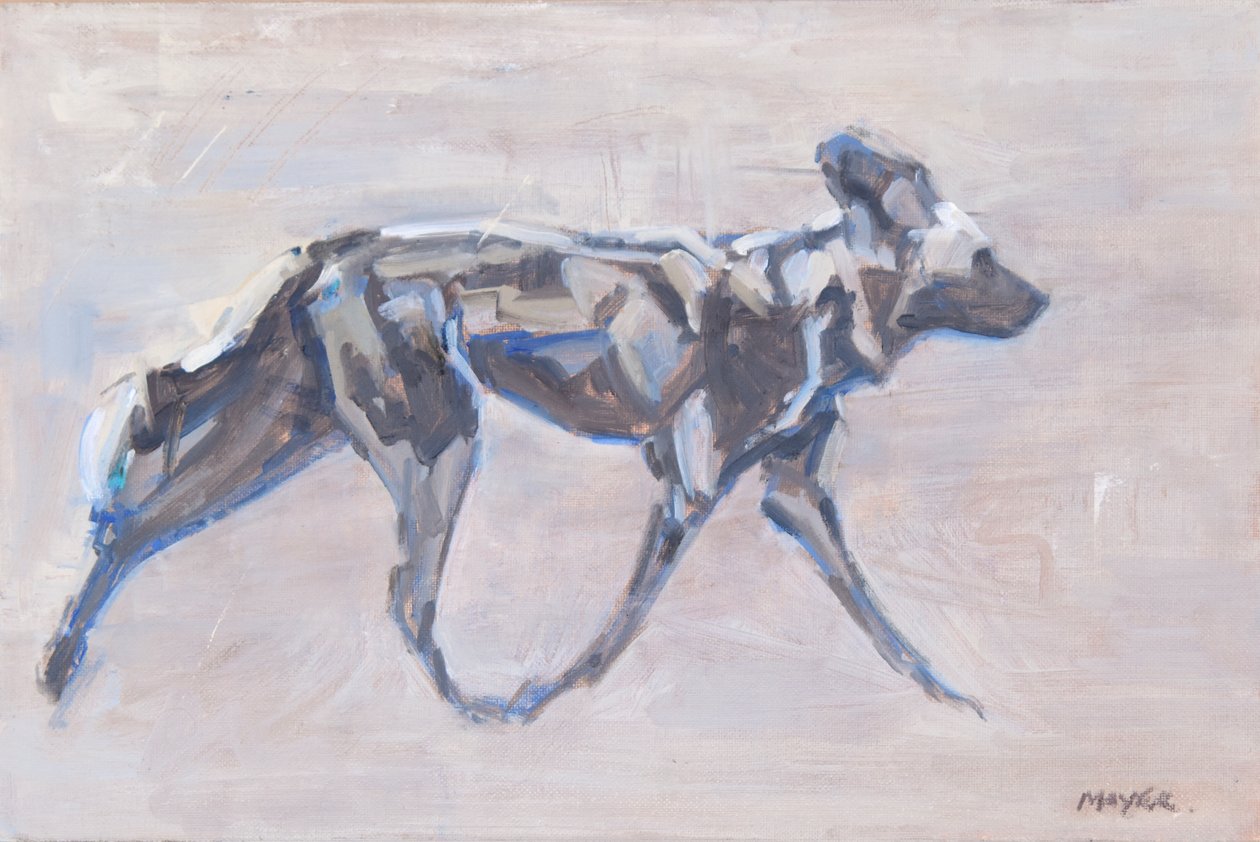 Afrika Boyalı Köpeği (vahşi köpek), 2024 (tuval üzerine yağlıboya) by David Mayer