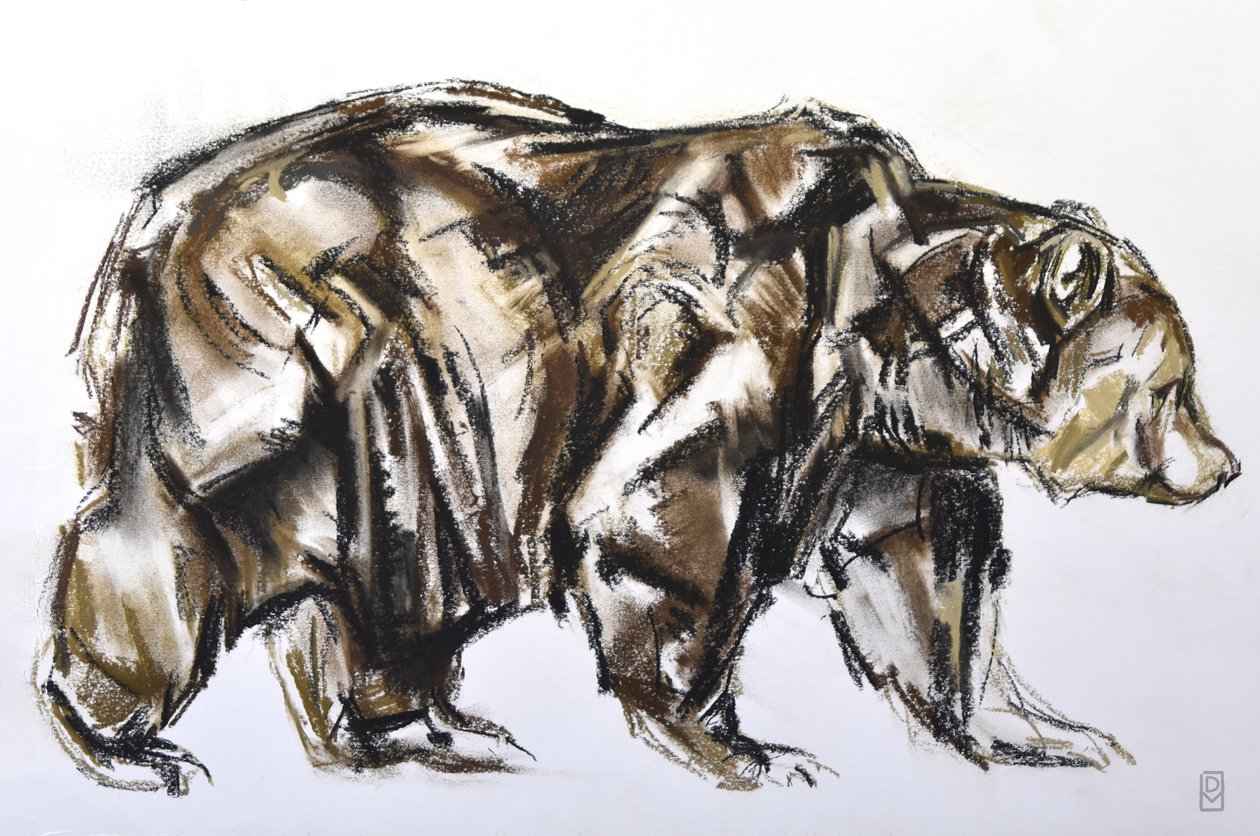 Boz Ayı yürüyüşü, 2012 (kağıt üzerinde Pastel/Conte) by David Mayer