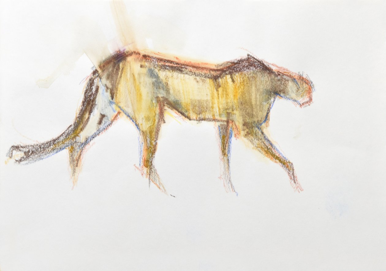 Çita, 2020 (kağıt üzerine pastel boya ve sulu boya) by David Mayer