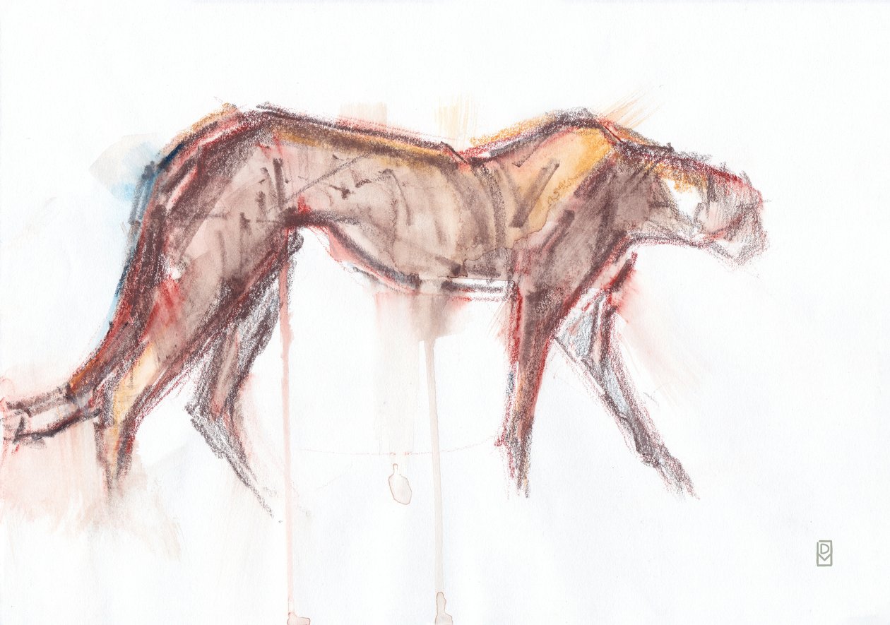 Çita avı, 2019 (kağıt üzerine pastel boya/sulu boya) by David Mayer