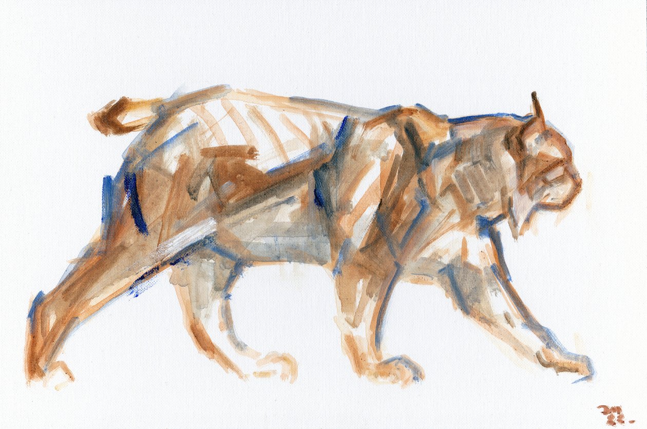 Lynx, 2022 (tuval üzerine yağlı boya kaplı panel) by David Mayer