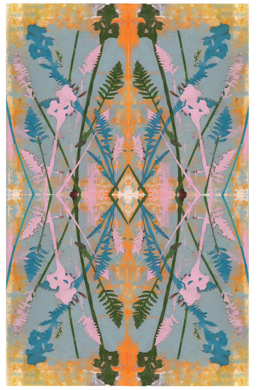 Botanik Kolaj # 2, 2017 by David McConochie