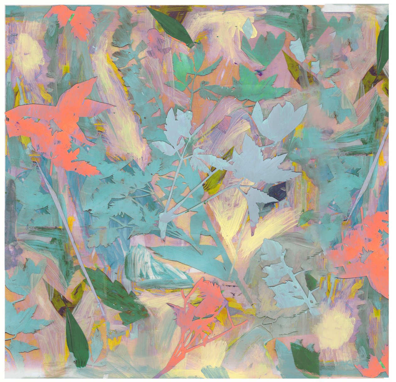 Botanik Kolaj # 3, 2017 by David McConochie