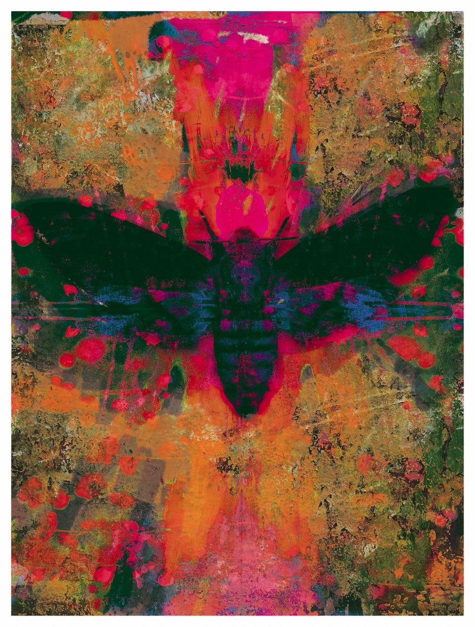 Ölüm Güvesi Kolajı, 2016 (Kağıt Üzerine Kolaj) by David McConochie