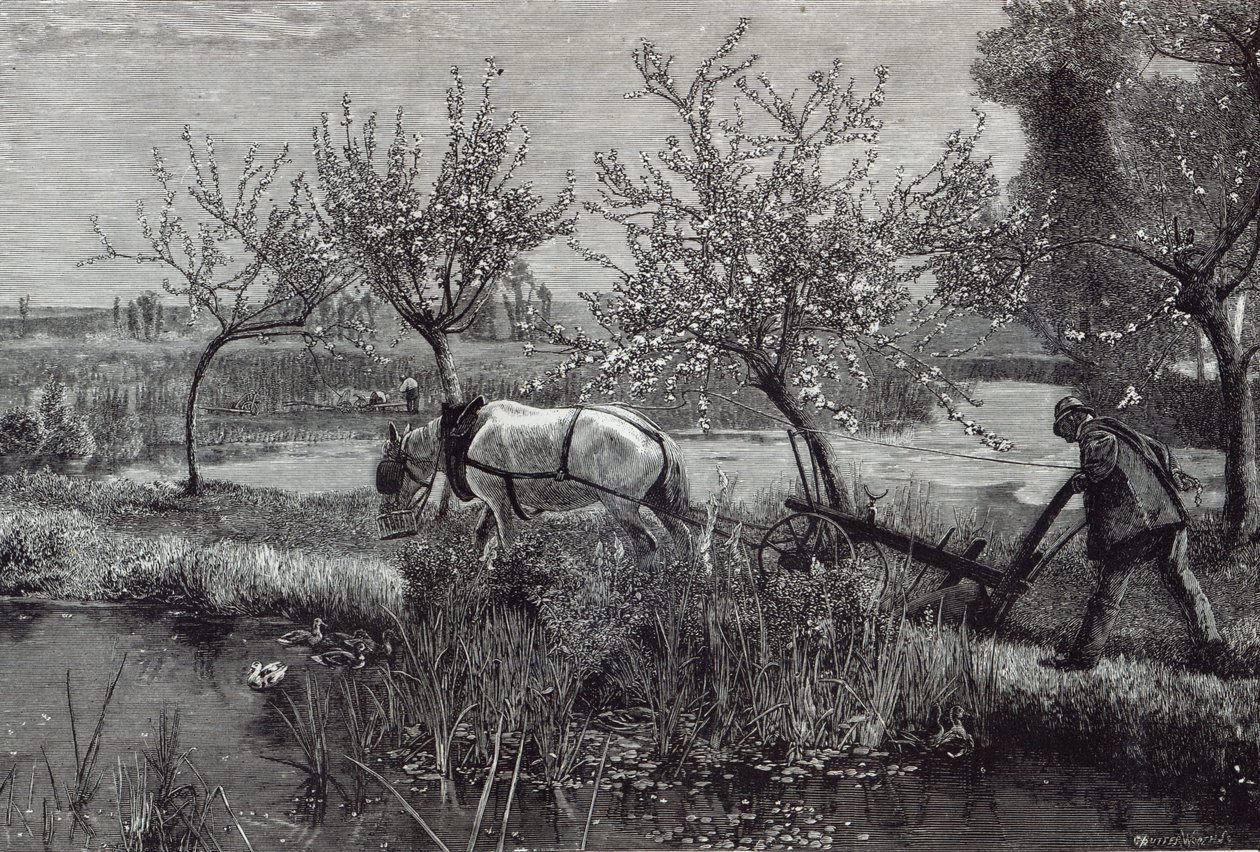 'İyi işlenmiş küçük bir çiftlik', Picardy, 'Boş Saat'ten, 1888 by David Murray