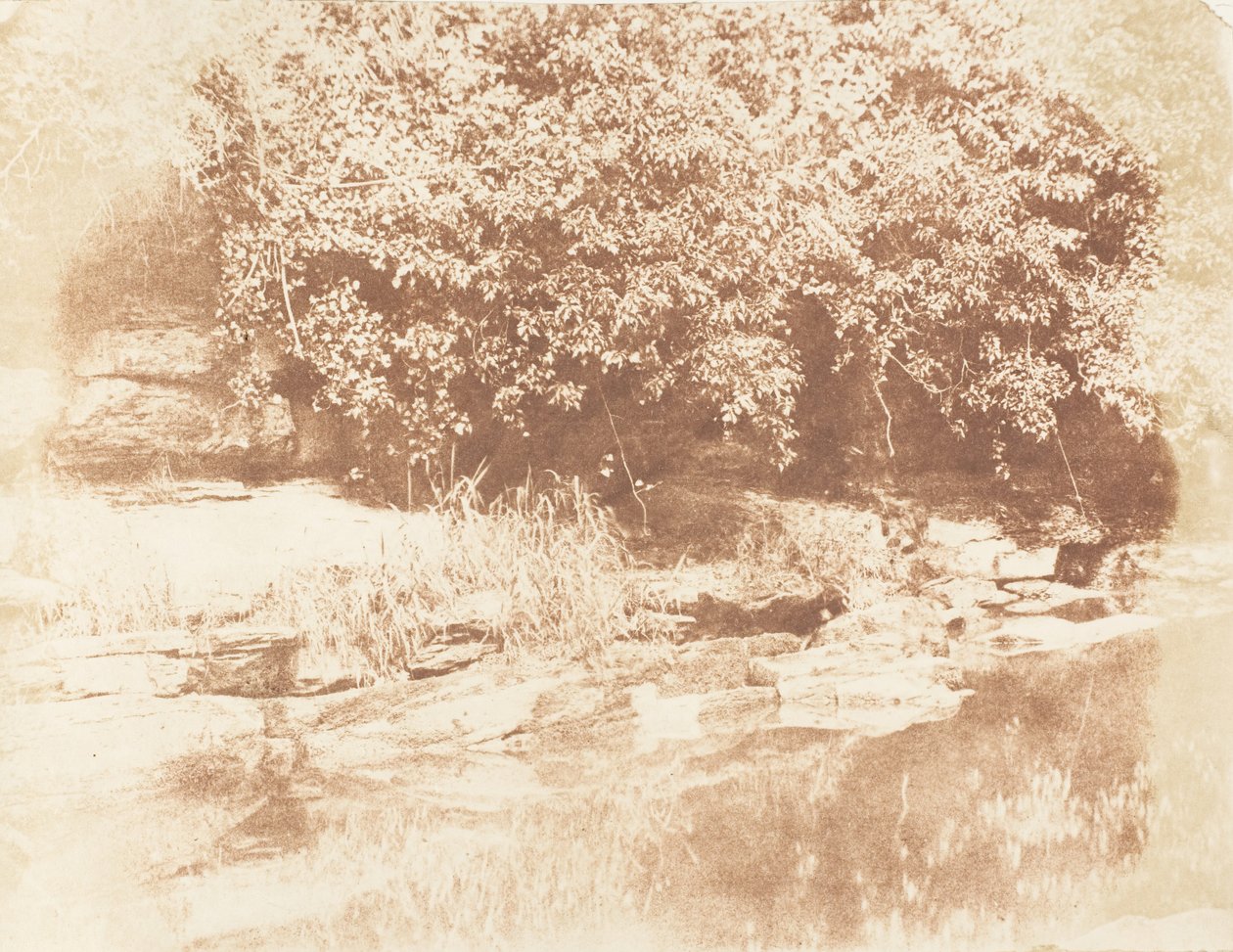 Burnside, Badem Nehri