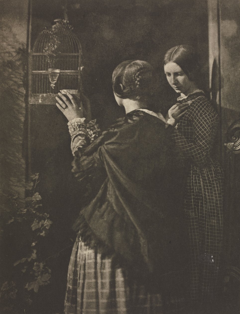 Kamera Çalışması: Kuş Kafesi by David Octavius Hill