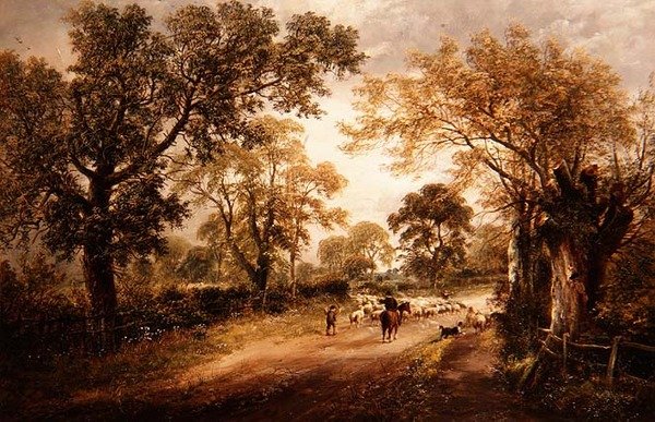 Koyun sürüsü by David Payne