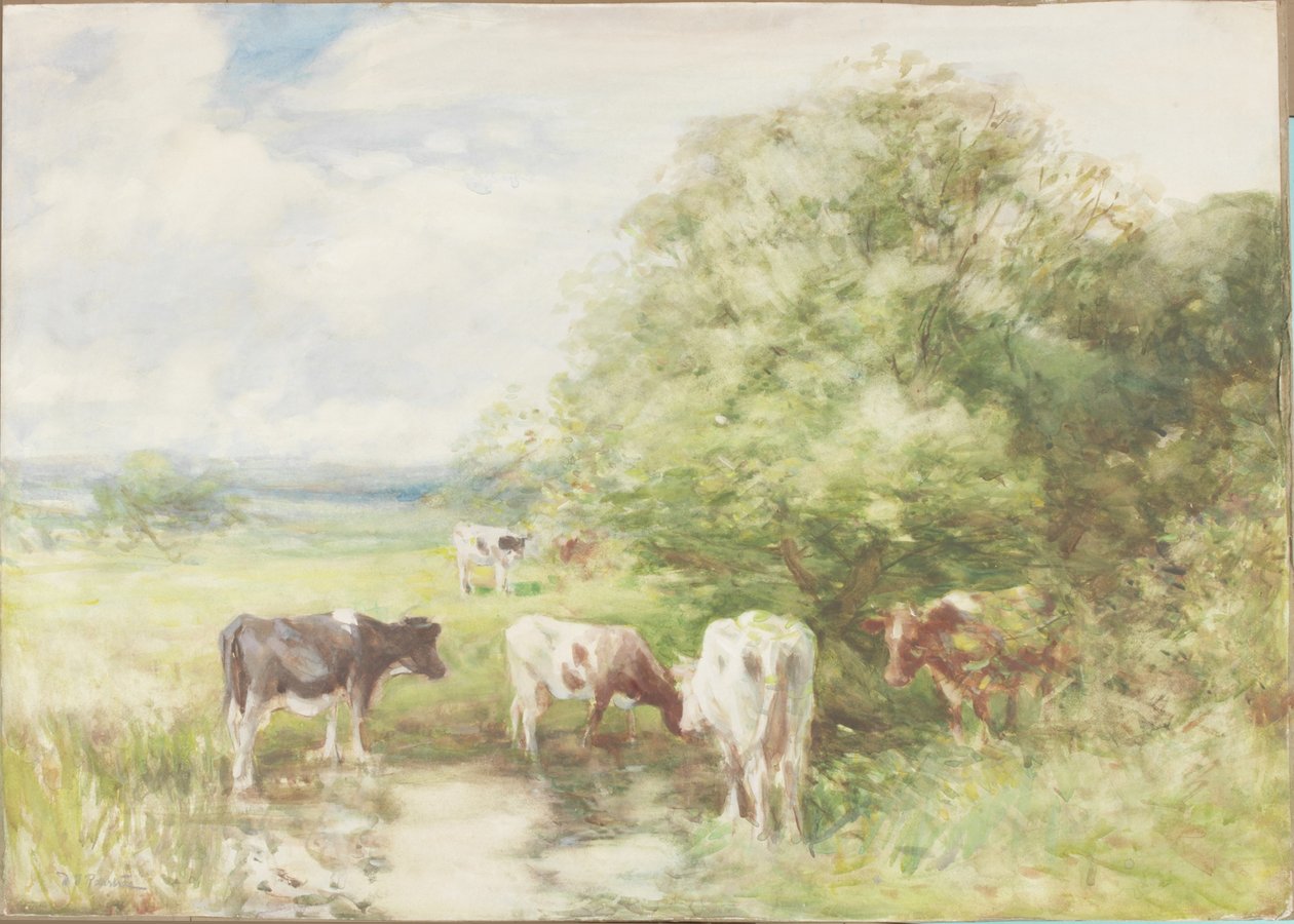 Gölgeli Havuz (kart üzerine kağıt üzerine suluboya) by David T. Robertson