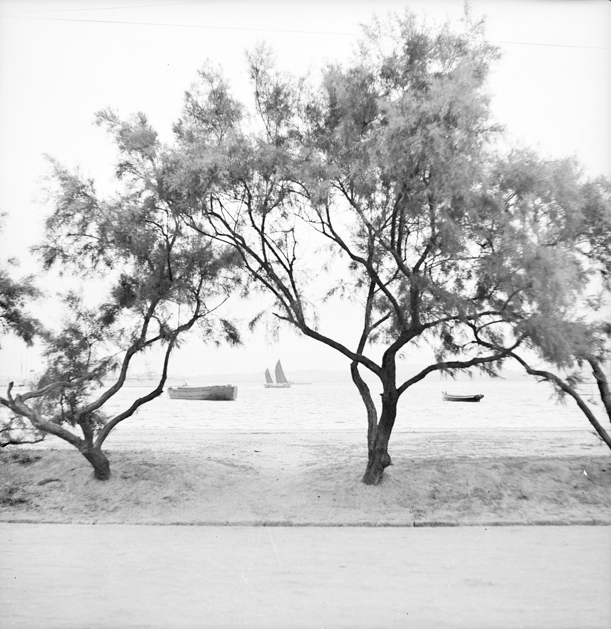  by David Watkin Waters