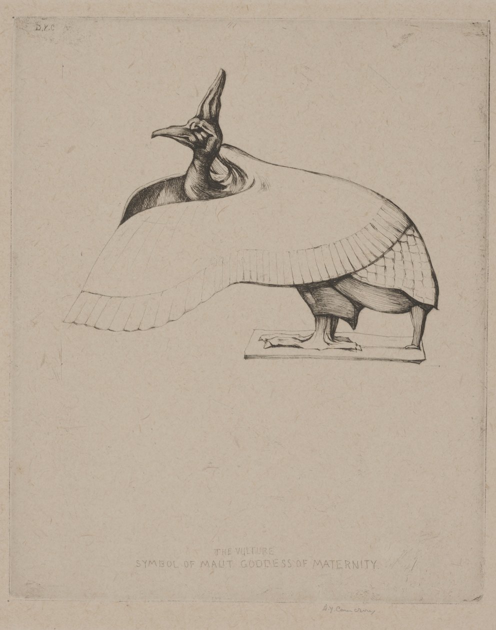 Ölüm by David Young Cameron
