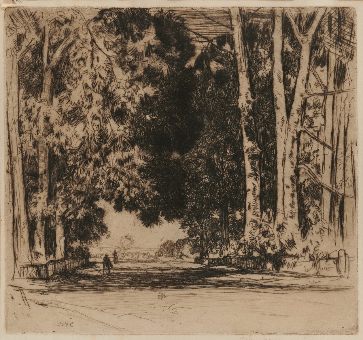 cadde by David Young Cameron