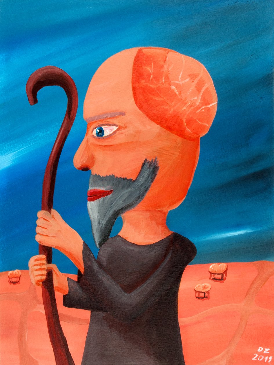 Düşüncelerin çobanı by David Zabel