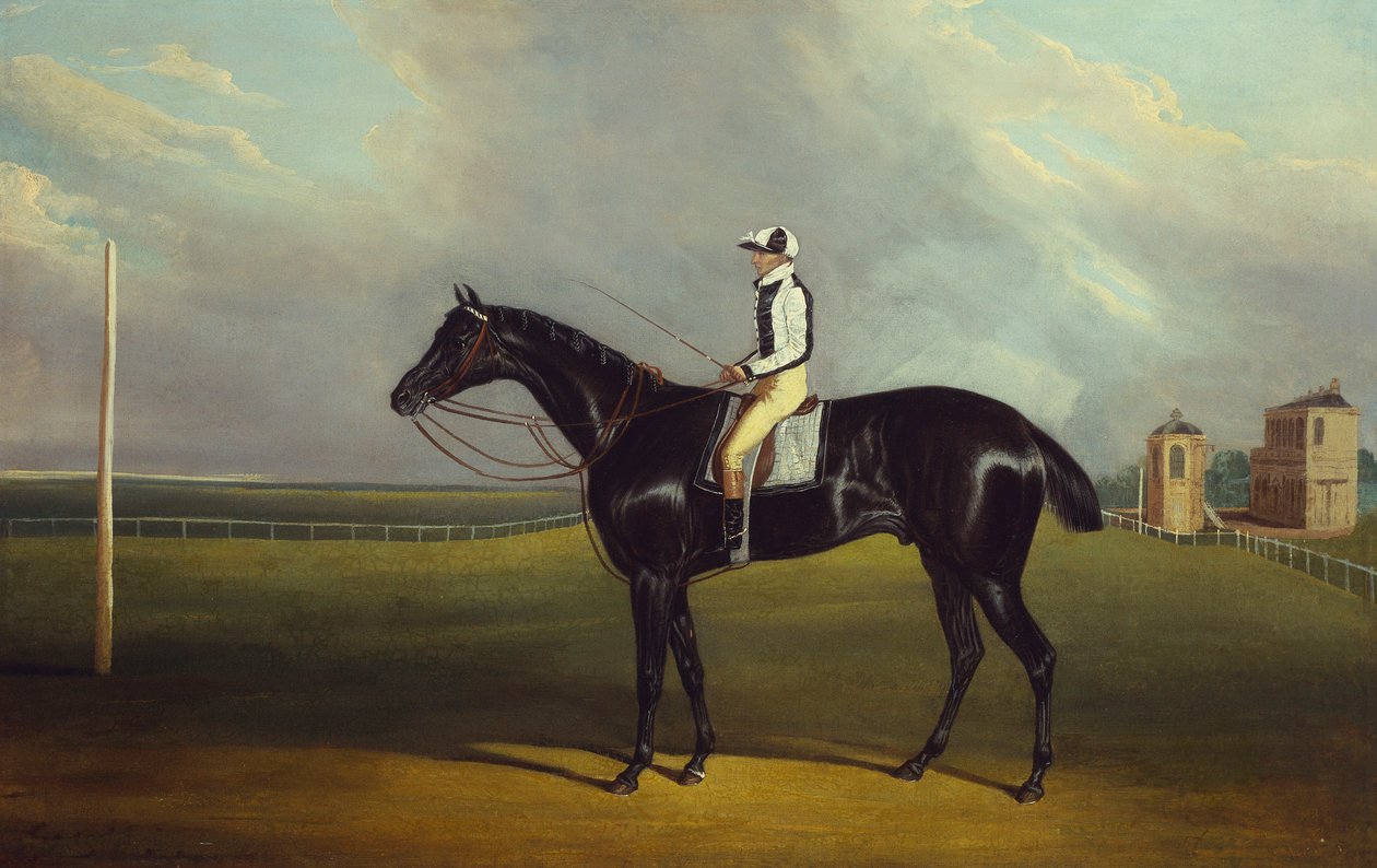 Bay R.O. B. Smith ile Gascoigne