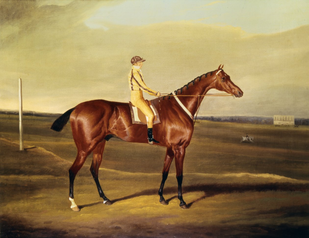 Hon. Robert Grosvenors Tawpy by David of York Dalby