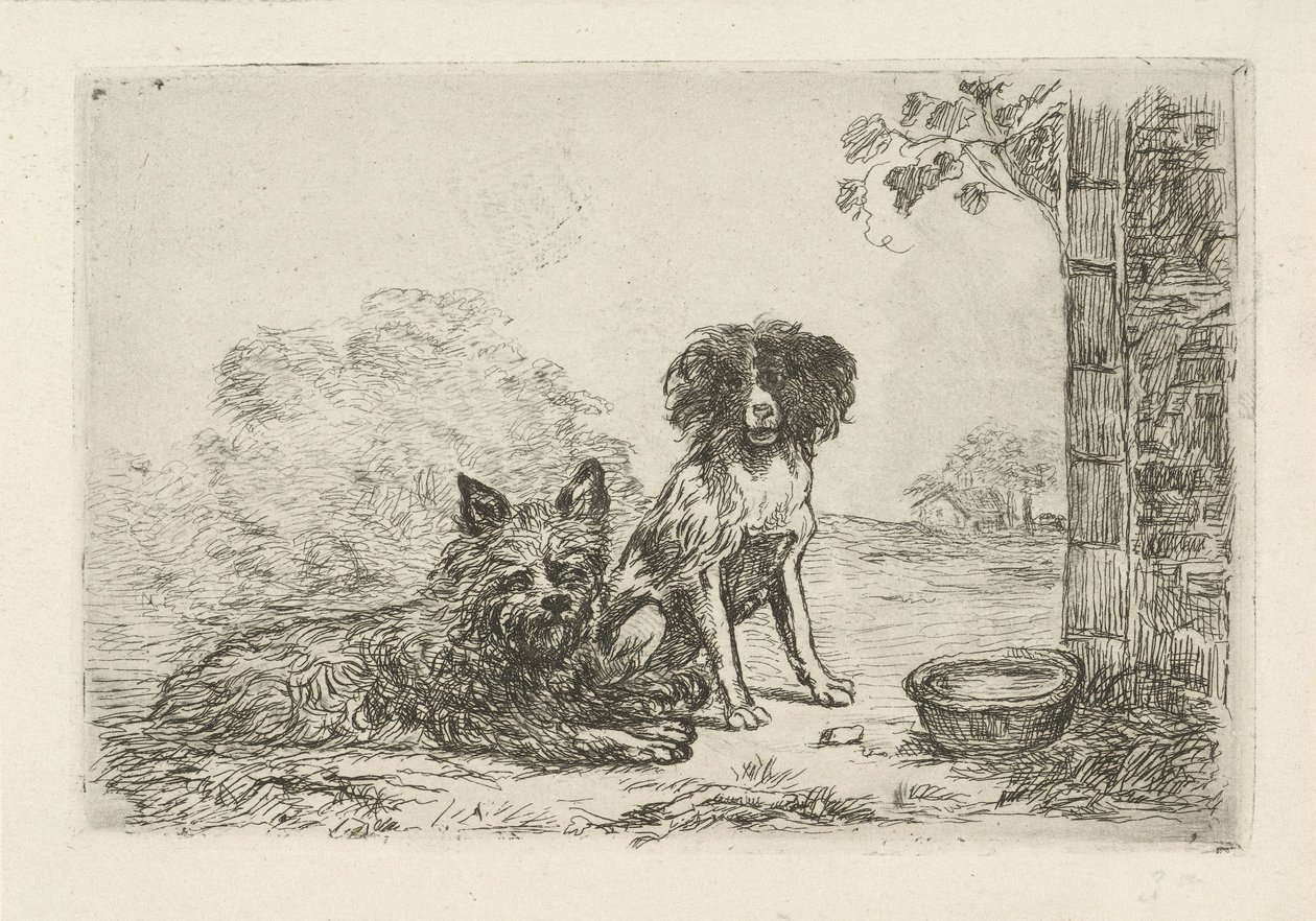 İki köpek by David van der Kellen