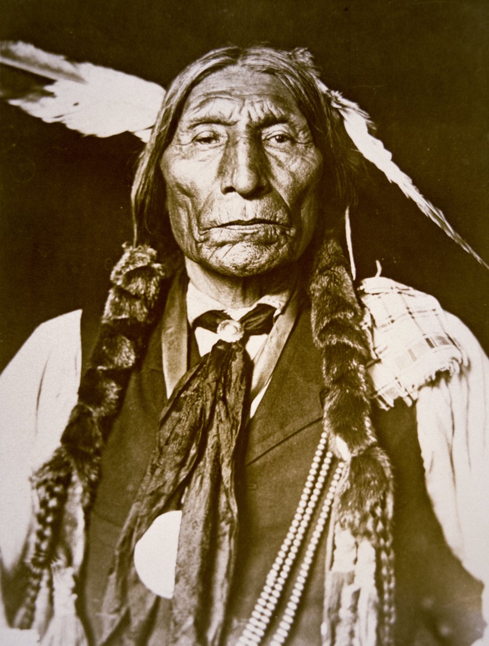 Wolf Robe (d.1841) 1909 (s/b fotoğraf) by DeLancey W. Gill