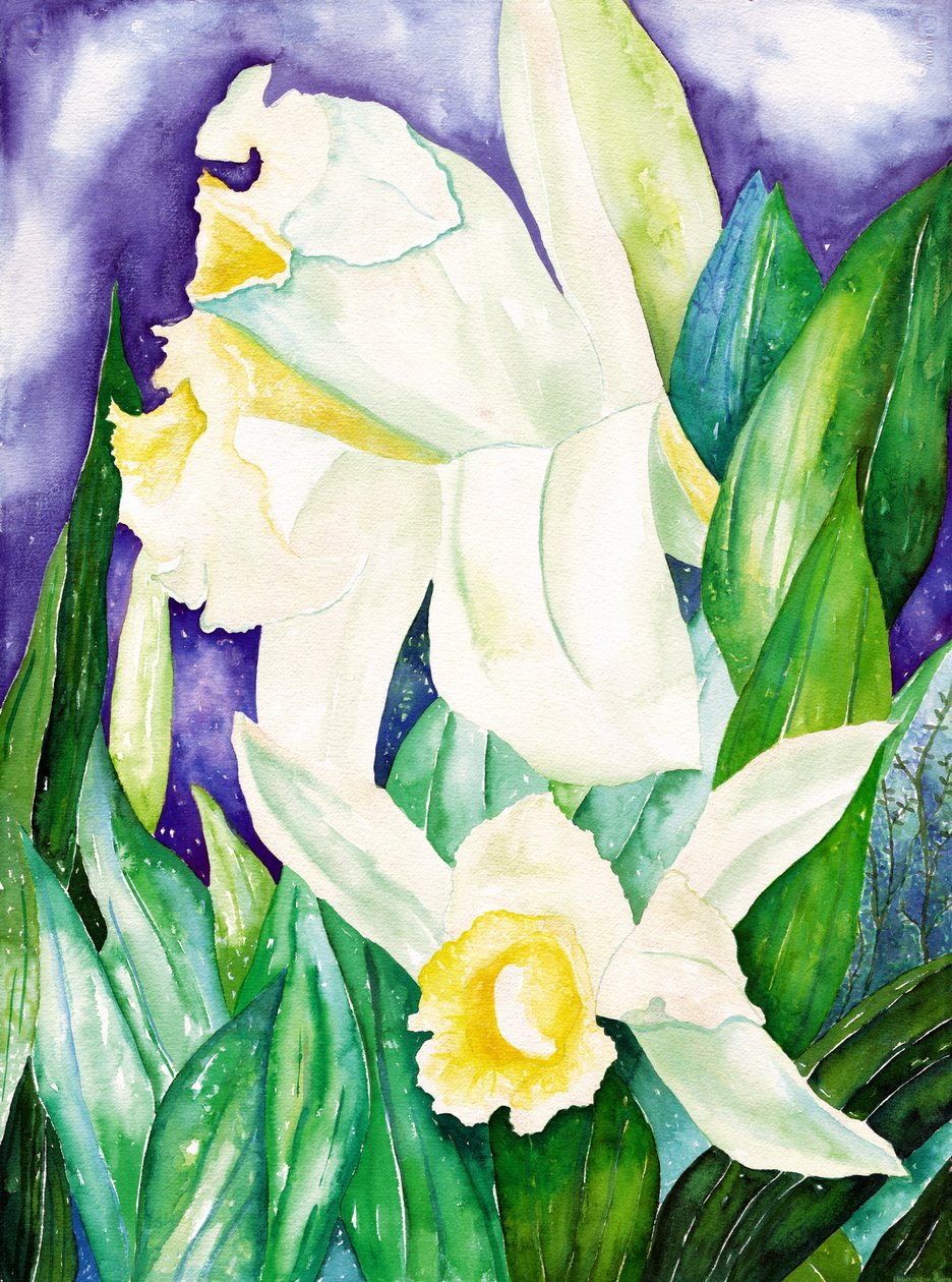  by Deborah Eve Alastra