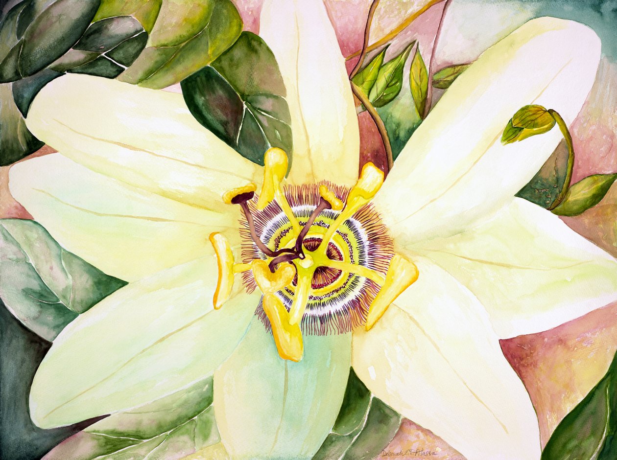  by Deborah Eve Alastra