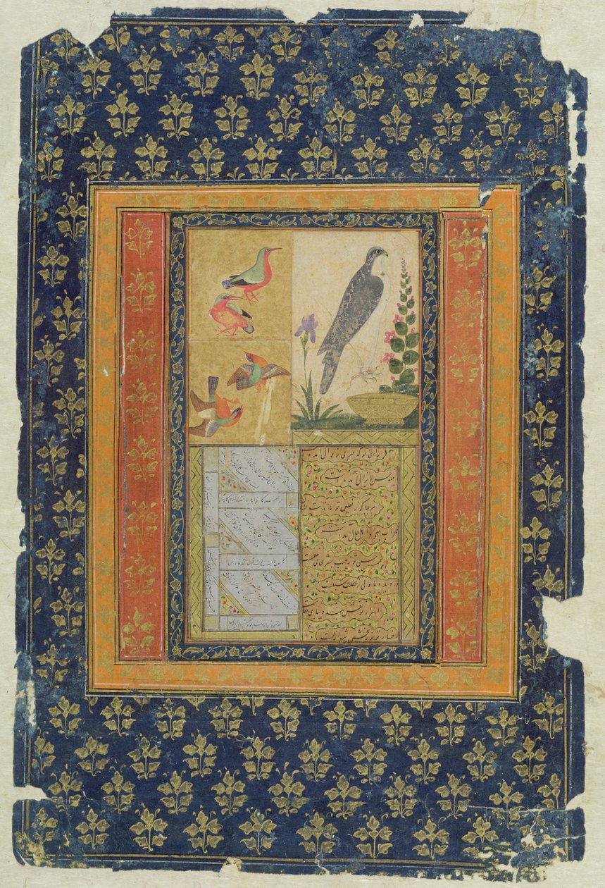 Kuş çalışması ve kaligrafi, Golconda, Andhra Pradesh, 1570, (süslü bordürlü kağıt üzerine guaj, mürekkep ve altın) by Deccani School