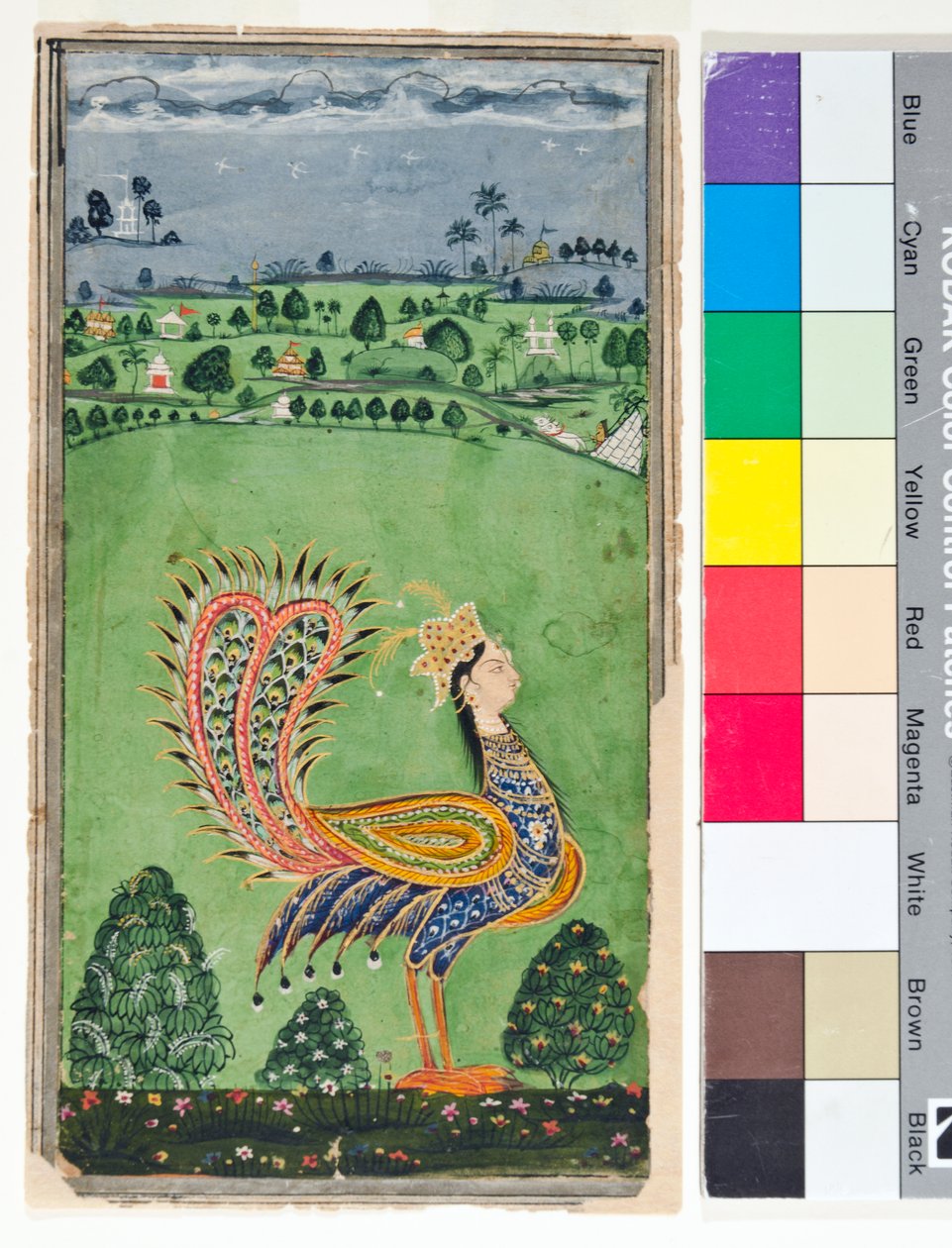 Kadın başlı efsanevi tavus kuşu, c.1750 (kağıt üzerinde opak ve altın rengi) by Deccani School