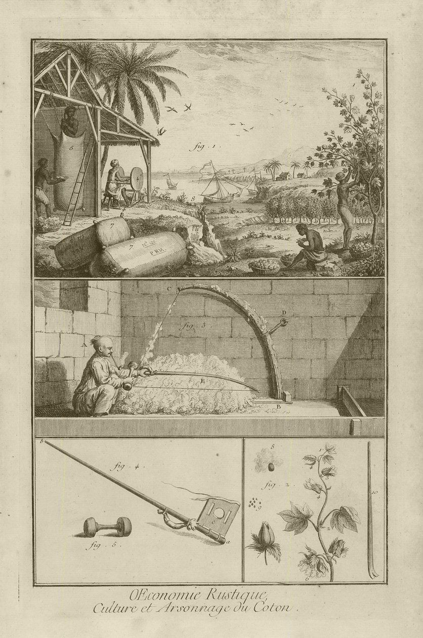 Amerika'da Pamuk Tarlası; Yay ile Harman; Pamuk Fabrikası (Başlık), 1762 by Denis Diderot